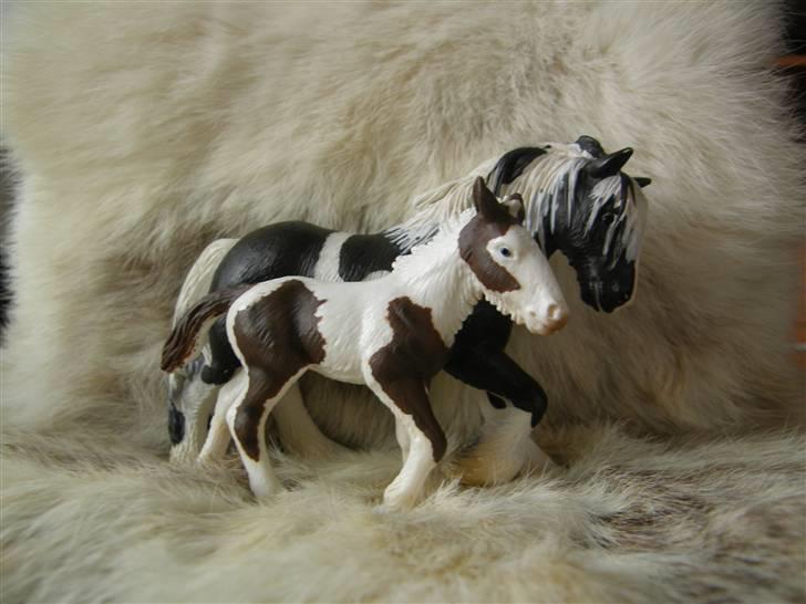Mine Schleich Dyr - Navn: Malie Race: Tinker Køn: Hoppe Alder: 8 år Navn: Hindbærgården's Malow Son Of Picasso Race: Tinker Køn: Hingst Alder: 2 mdr Stamtavle: Mor:Malie Far: Holms Picasso billede 40