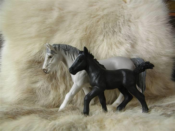 Mine Schleich Dyr - Navn: Cassiopeia Race: Lipizzaner Køn: Hoppe Alder: 12 år Navn: Hindbærgården's El Phillipe II (Fuzzy) Race: Lipizzaner Køn: Hingst Alder: 2 mdr Stamtavle: Mor: Cassiopeia Far: El Phillipe billede 42