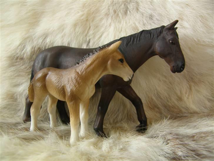 Mine Schleich Dyr - Navn: Sammie Race: Holstiner Køn: Hoppe Alder: 14 år Navn: Hindbærgården's Duke Race: Holsteiner Køn: Hingst Alder: 3 mdr Stamtavle: Mor: Sammie Far: Morgan billede 48