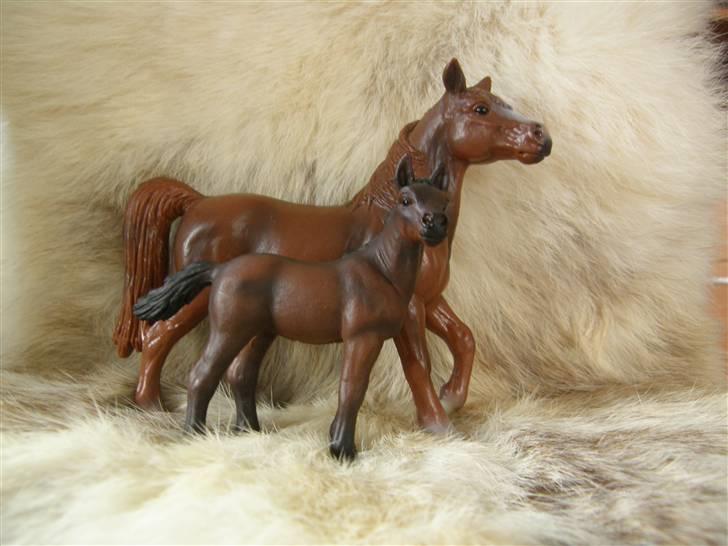 Mine Schleich Dyr - Navn: Rose Race: Ukendt evt. Araber Køn: Hoppe Alder: 8 år Navn: Hindbærgården's Britney Bay Race: Araber blanding (Listet som araber) Køn: Hoppe Alder: 2 mdr Stamtavle: Mor: Rose Far: Sheik billede 51