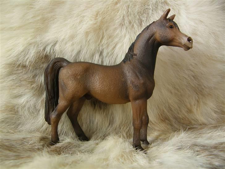 Mine Schleich Dyr - Navn:Sheik Race: OX Araber Køn: Hingst Alder: 7 år billede 49