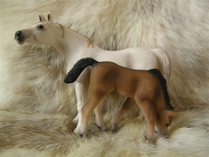 Mine Schleich Dyr - Navn: Sienna Race: OX Araber Køn: Hoppe Alder: 7 år Navn: Hindbærdgården's Shadiva Race: OX Araber Køn: Hoppe Alder: 3 uger Stamtavle: Mor: Sienna Far: Sheik billede 50