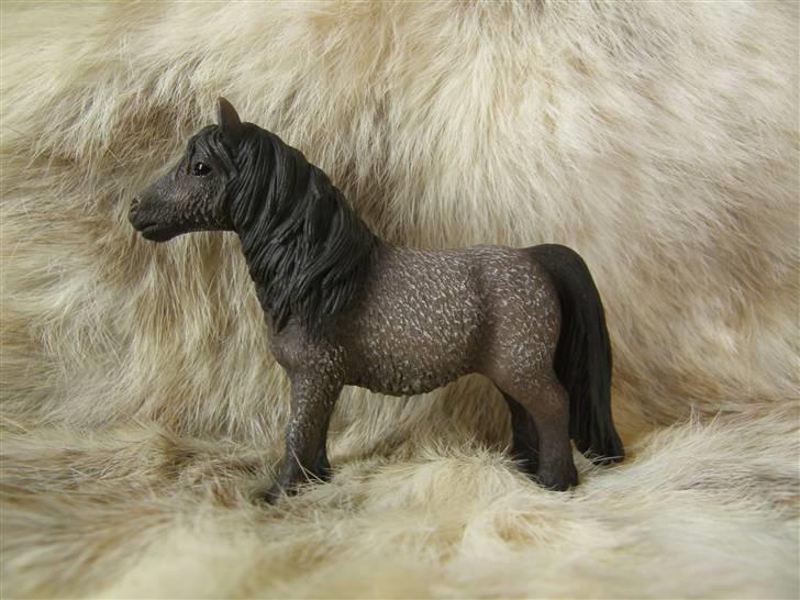 Mine Schleich Dyr - Navn: Marco Polo Race: Shetlænder Køn: Vallak Alder: 3 år billede 52