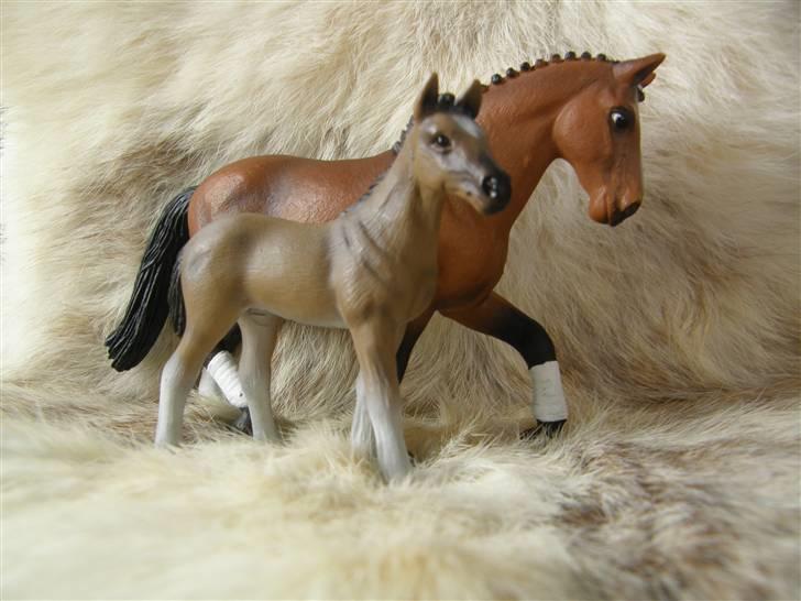 Mine Schleich Dyr - Navn: Egebæk's Liva Race: Hannoveraner Køn: Hoppe Alder: 5 år. Navn: Hindbærgården's Leika Race: Hannoveraner Køn: Hoppe Alder: 2mdr Stamtavle: Mor: Egebæk's Liva Far: BH Matiné II billede 62