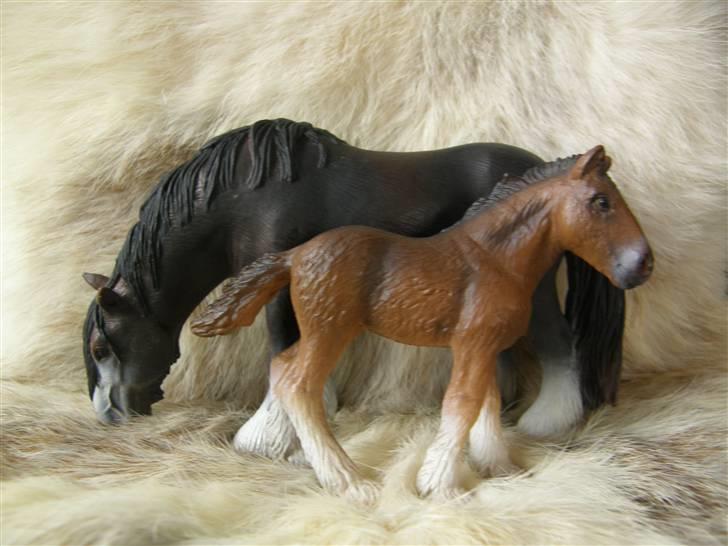 Mine Schleich Dyr - Navn: Fenja Race: Shire Køn: Hoppe Alder: 5 år Navn: Hindbærgården's Bruce Race: Shire Køn: Hingst Alder: 3 mdr Stamtavle: Mor: Fenja Far: Bokser billede 66