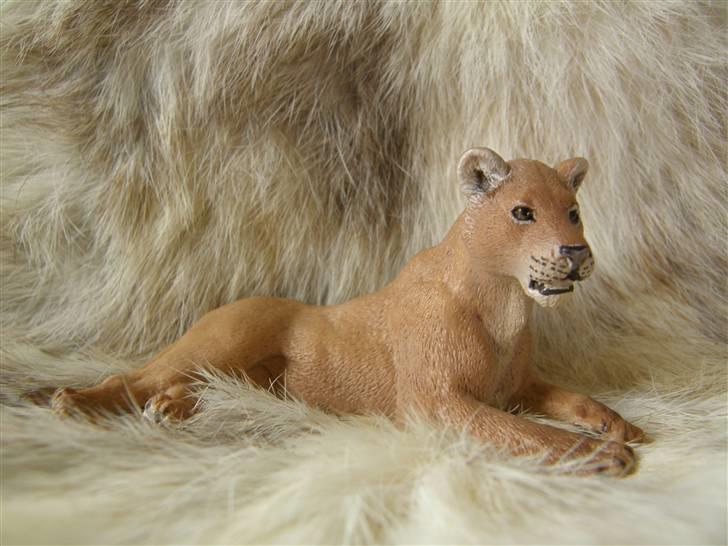 Mine Schleich Dyr - Navn. Shika Race: Løve Køn: Løvinde Alder: 2 år  billede 70