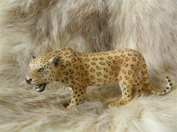 Mine Schleich Dyr - Navn: Tjoloro Race: Leopard Køn: Hankøn Alder: 4 år billede 71