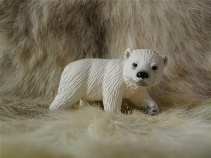 Mine Schleich Dyr - Navn: Isak Newton Race: Isbjørn Køn: Hankøn Alder: 1 mdr billede 72