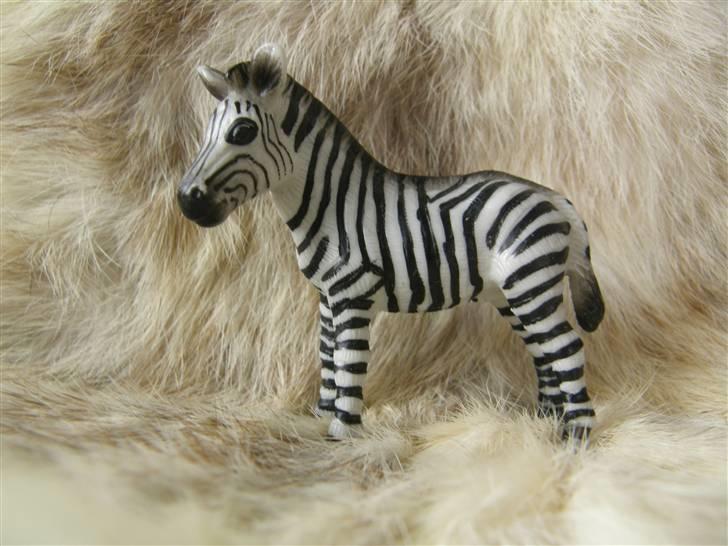Mine Schleich Dyr - Navn. Stribe Race: Zebra Køn: Hoppe Alder: 3 mdr billede 73