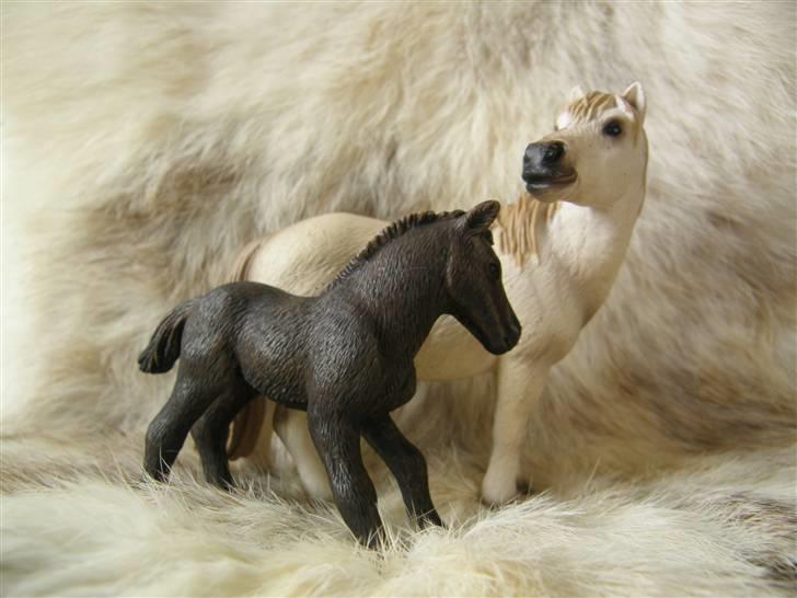 Mine Schleich Dyr - Navn: Molly Race: Camargue Køn: Hoppe Alder: 10 år Navn: Hindbærgården's Malue Race: Camargue Køn: Hoppe Alder: 3 timer Stamtavle: Mor: Molly Far: Ukendt billede 76