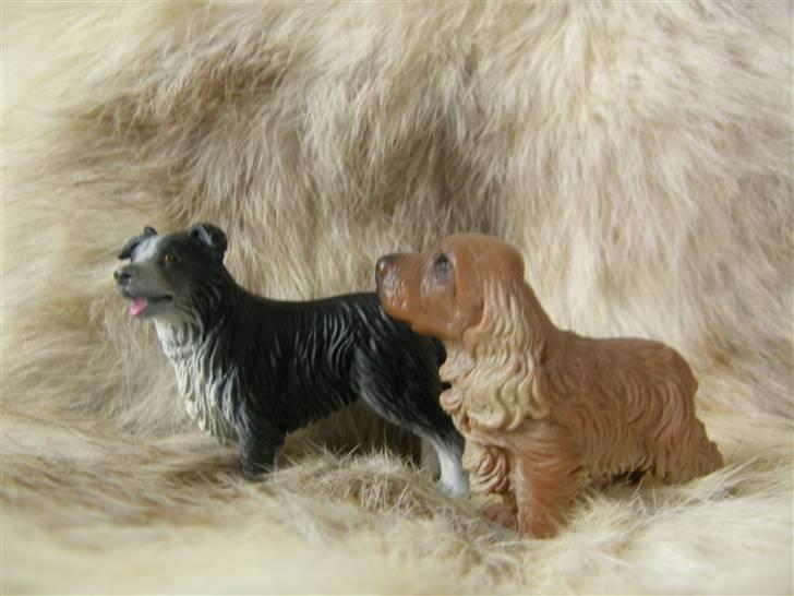 Mine Schleich Dyr - Navn: Silas (venstre) Race: Border Collie Køn: Hanhund Alder: 2 år Navn: Holly Race: Cokker Spanier Køn: Tæve Alder: 8 år billede 77