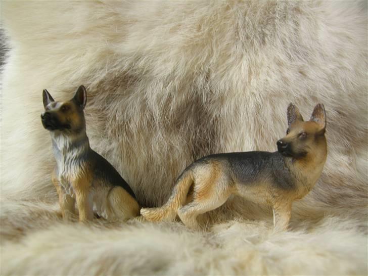 Mine Schleich Dyr - Navn: Plys (venstre) Race: Schæfer Køn: Tæve Alder: 3 år Navn: Petra Race: Shæfer Køn: Tæve Alder: 3 år billede 78