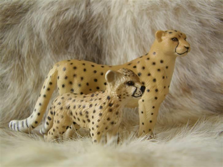 Mine Schleich Dyr - Navn: Shelana Race: Gepart Køn: Hun Alder: 3 år Navn: Sebastian Race: Gepart Køn: Han Alder: 3 mdr Stamtavle: Mor: Shelena Far: Speeding Heart billede 79