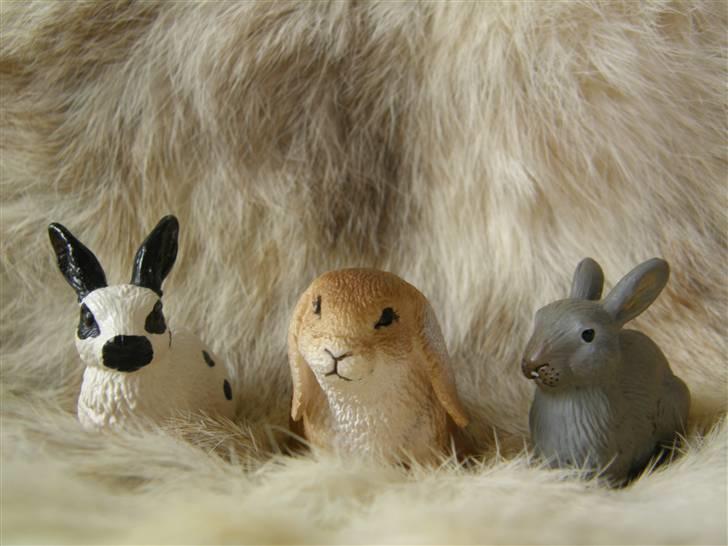 Mine Schleich Dyr - Navn: Pletten (venstre) Race: Ukendt Køn: Hunkanin Alder: 1 år Navn: Jackie Race: Fransk vædder Køn: Hunkanin Alder: 1½ år Navn: Pjuske Race: Vildkanin Køn: Hankanin Alder: ??? billede 80