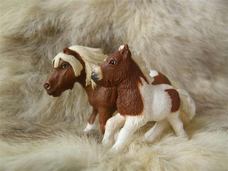Mine Schleich Dyr - Navn: Dido Race: Shetlænder Køn: Hoppe Alder:  7 år Navn: Hindbærgården's Flicka Race: Shetlænder Køn:Hoppe Alder: 3 mdr Stamtavle: Mor: Dido Far: MarcoPolo billede 53