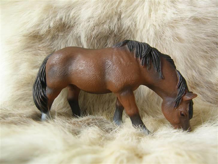 Mine Schleich Dyr - Navn: Mille Race: Tysk Sprotspony Køn: Hoppe Alder: 8 år billede 82