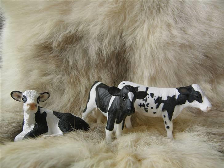 Mine Schleich Dyr - Navn: Hindbærgården's Tilde (venstre) Race: SDM Køn: Kvie Alder: 2 mdr Navn: Hindbærgården's Bedst Beauty Race: SDM Køn: Kvie Alder: 2 mdr Navn: Hindbærgården's Silje Race: SDM Køn: Kvie Alder: 2 mdr billede 83