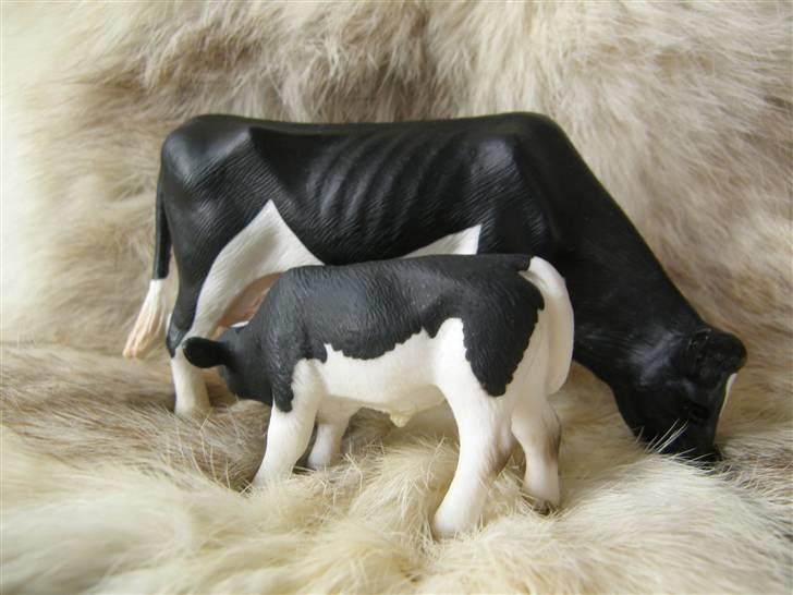 Mine Schleich Dyr - Navn: Maja Race: SDM Køn: Ko Alder: 4 år Navn: Hindbærgården's Elliot Race: SDM Køn:Tyr Alder: 2 mdr billede 84