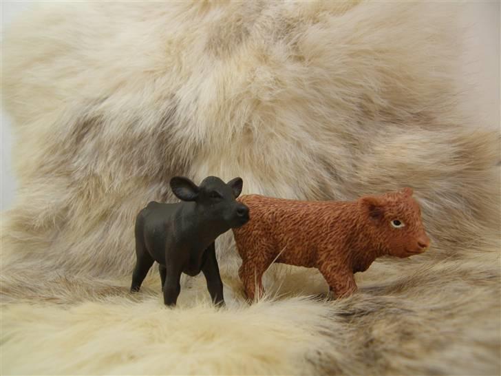 Mine Schleich Dyr - Navn: Hindbærgården's Cosmo (venstre) Race: Angus Køn: Tyr Alder: 2 mdr. Navn: Hindbærgården's Bellis Race: Skotsk Højlands Køn: Kvie Alder: 2 mdr. billede 85
