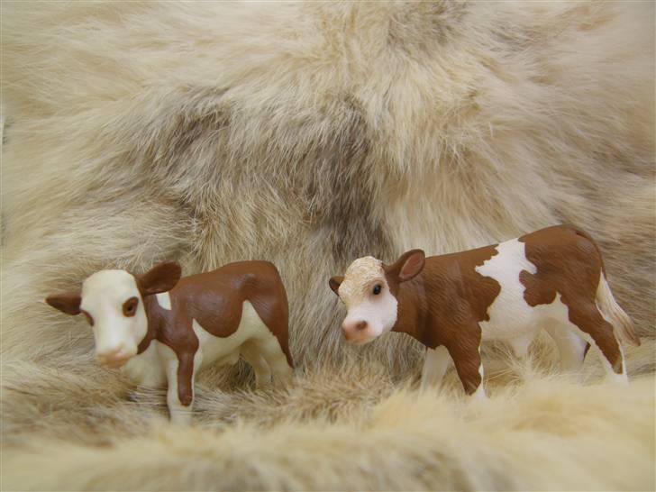 Mine Schleich Dyr - Navn: Hindbærgården's Janick (venstre) Race: DRH Køn: Tyr Alder: 2 mdr. Navn: Hindbærgården's Blake Race: DRH Køn: Tyr Alder: 2 mdr. billede 86