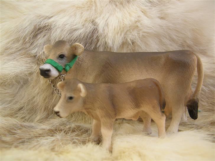 Mine Schleich Dyr - Navn: Hindbærgården's Yatzy Race: Dansk Jersey Køn: Ko Alder: 3 år Navn: Hindbærgården's Bowie Race: Dansk Jersey Køn: Tyr Alder: 2 mdr billede 89