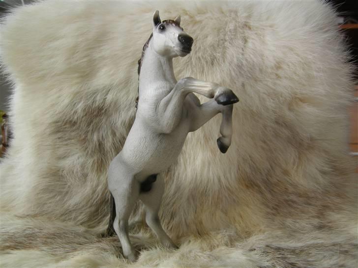 Mine Schleich Dyr - Navn: Wetherly Race: Mustang Køn: Hingst Alder: 12 år billede 95