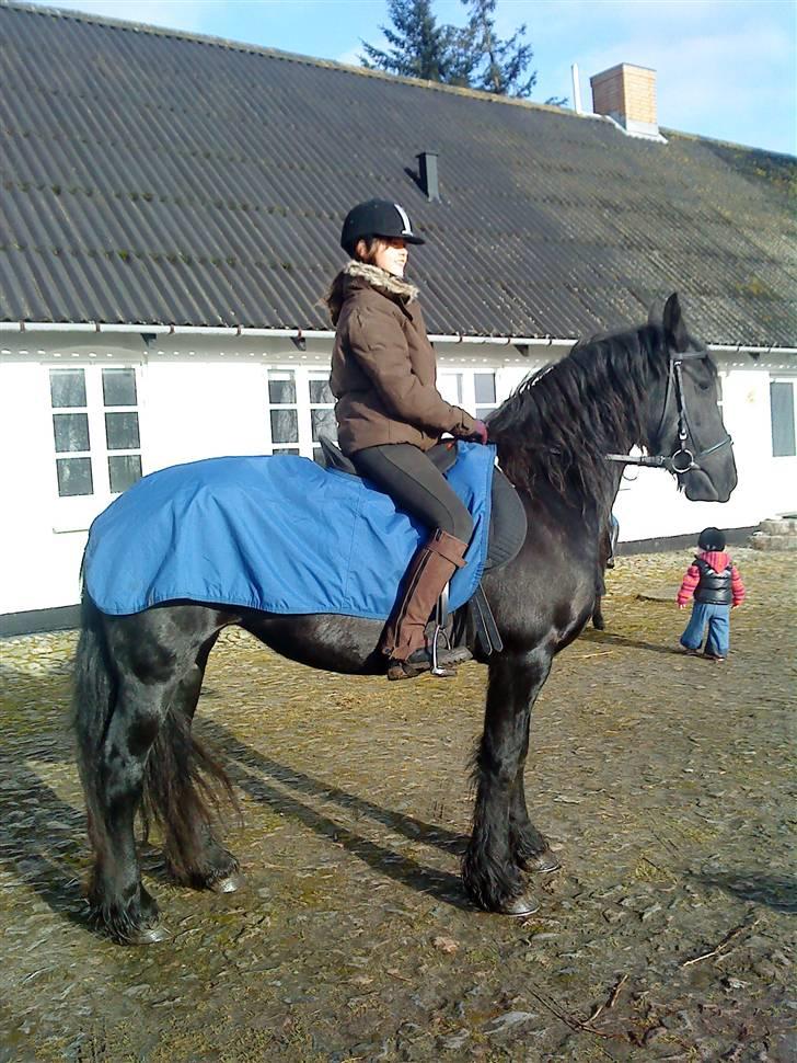 Heste jeg har redet - Hannah.
En af vores sidste dage sammen. billede 6