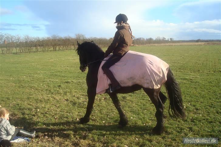 Heste jeg har redet - Femke
Min første tur på hende :) billede 8