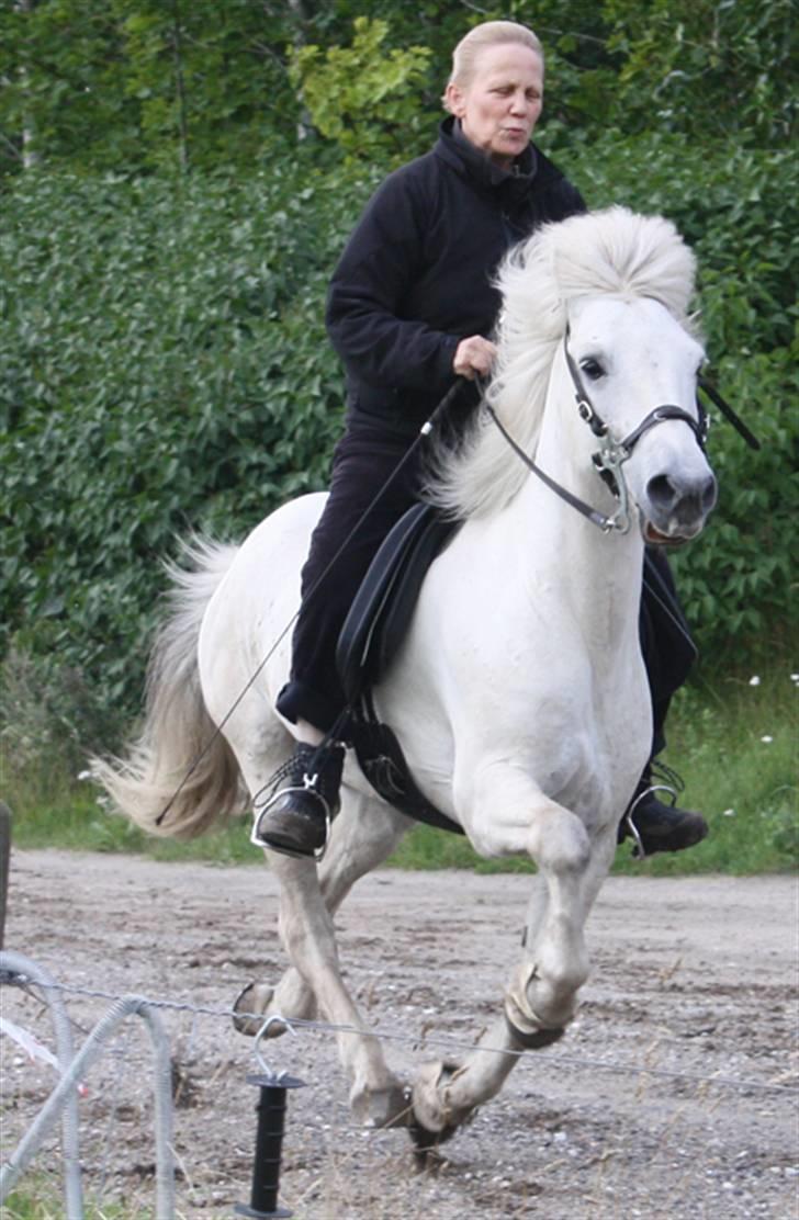 Heste jeg har redet - Baldúr og hans ejer Pernille Langvad (Ejer af Stutteri Skyggefaxe). Foto af: Kia Christina Eg billede 11