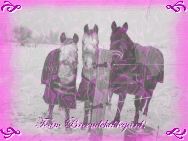 Nye og pænere billeder :) billede 3