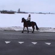 Maistro og Louise (: