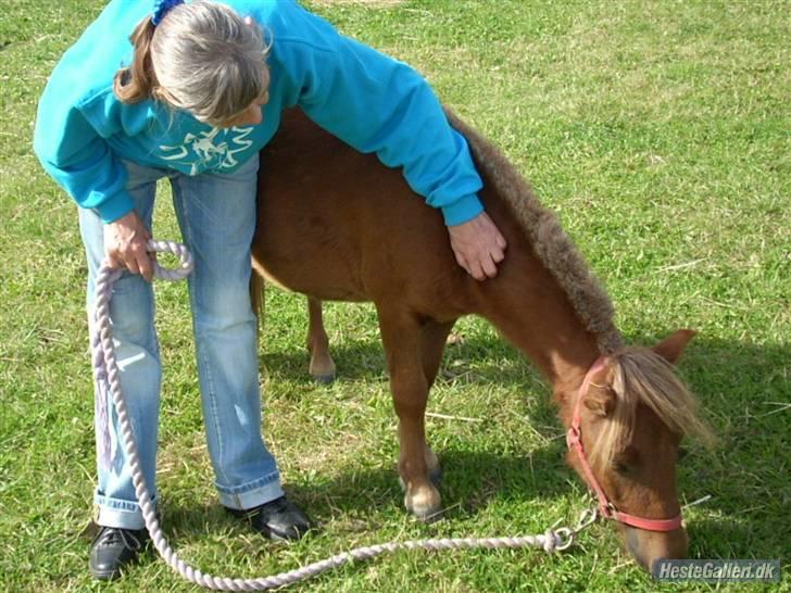 Felix, tyttebøvs og shamik - Det er joan og tyttebøvs billede 17
