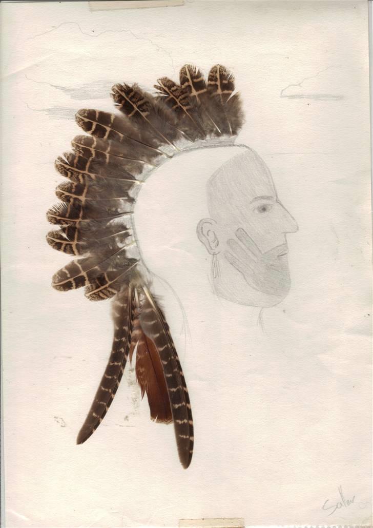 Mine tegninger. - Pownee. Fjerne er fra agerhøns, tegnet i frihånd. billede 5