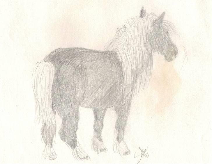 Mine tegninger. - Pony, tegnet efter tegning. billede 6