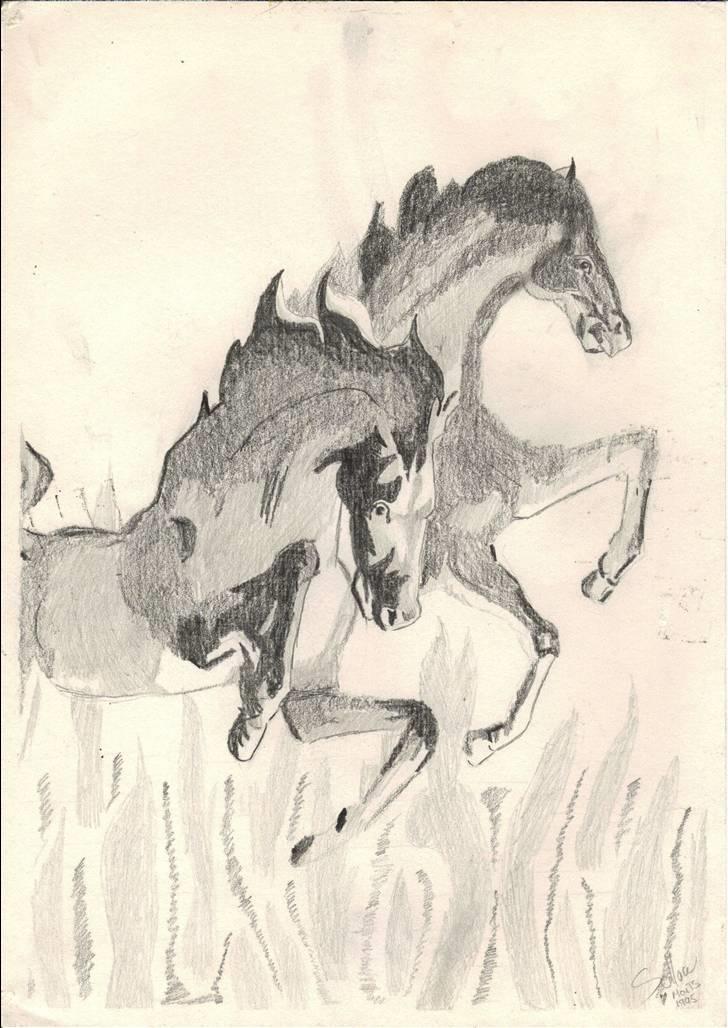 Mine tegninger. - Heste over ild, tegnet efter billede. billede 7