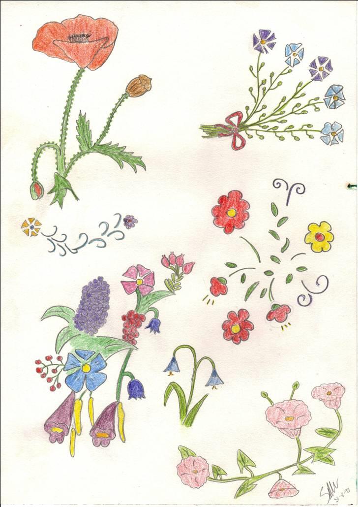 Mine tegninger. - Blomster fra min mors poisibog.... billede 10