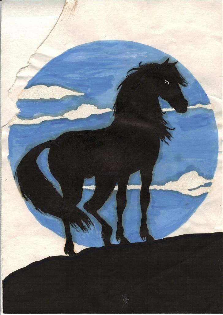 Mine tegninger. - Førehingst, tegner efter billede i Yakari tegneserierne. billede 1