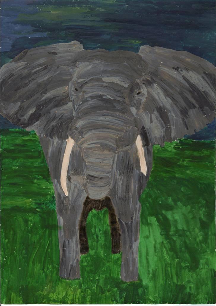 Mine tegninger. - Elefant, tegnet efter billede. billede 13