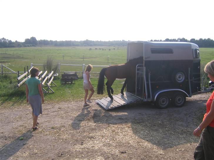 Mig og Lanciano - Så er vi næsten klar til den lange køretur billede 2