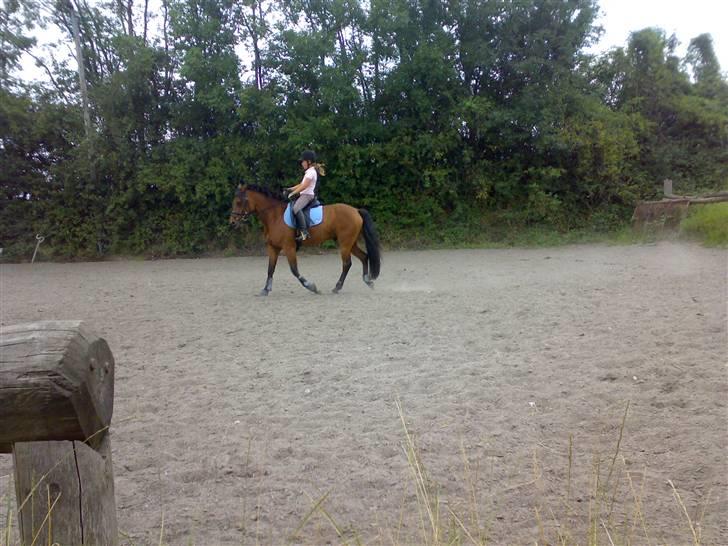 Mig og Lanciano - Så får jeg min første ridetur herhjemme billede 5