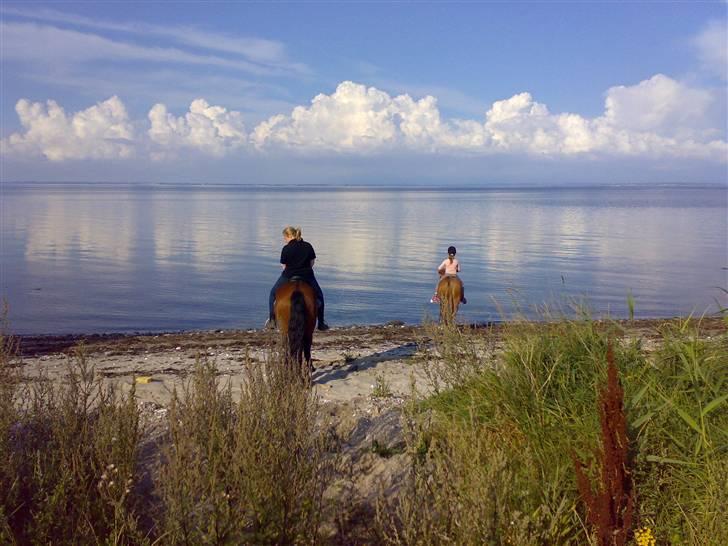 Mig og Lanciano - Er vild med dette billede.vores første tur til stranden billede 7