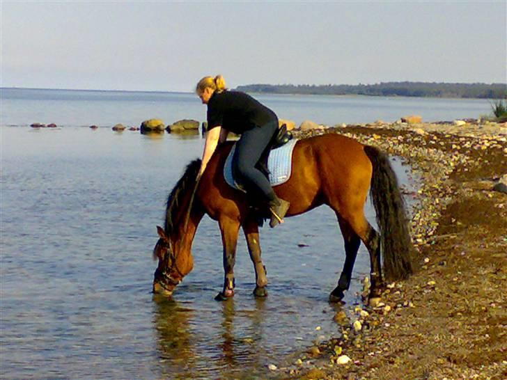 Mig og Lanciano - Manja tog ham til stranden,jeg havde Latino billede 8