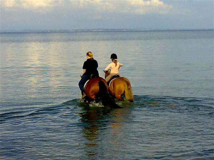 Mig og Lanciano - Så skal der bades billede 9
