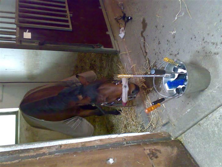 Mig og Lanciano - Så skal der raspes tænder billede 15