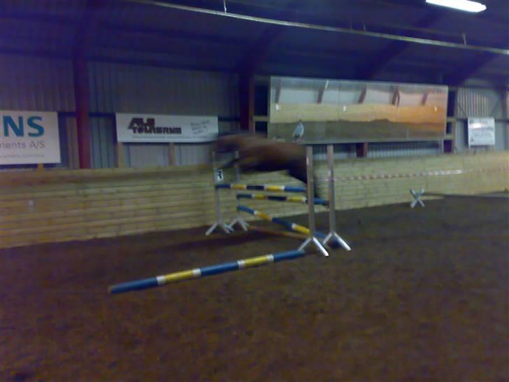 Mig og Lanciano - Flying superstar billede 18