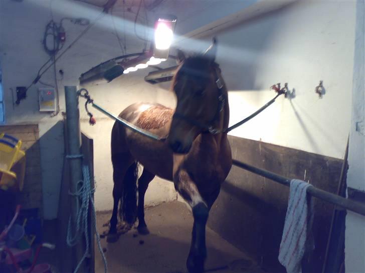 Mig og Lanciano - Så har man været i bad efter at være blevet klippet billede 21