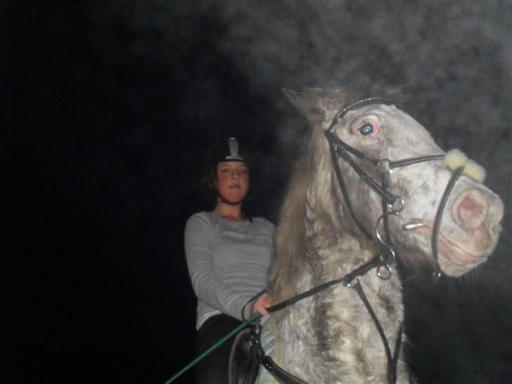 Lidt ``Uhyggelige´´ billeder af Tiger og mig D; - Haha, Total killer horse ;D billede 3