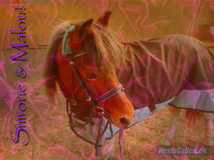 Nye og pænere billeder :) - Til simone ;) billede 4