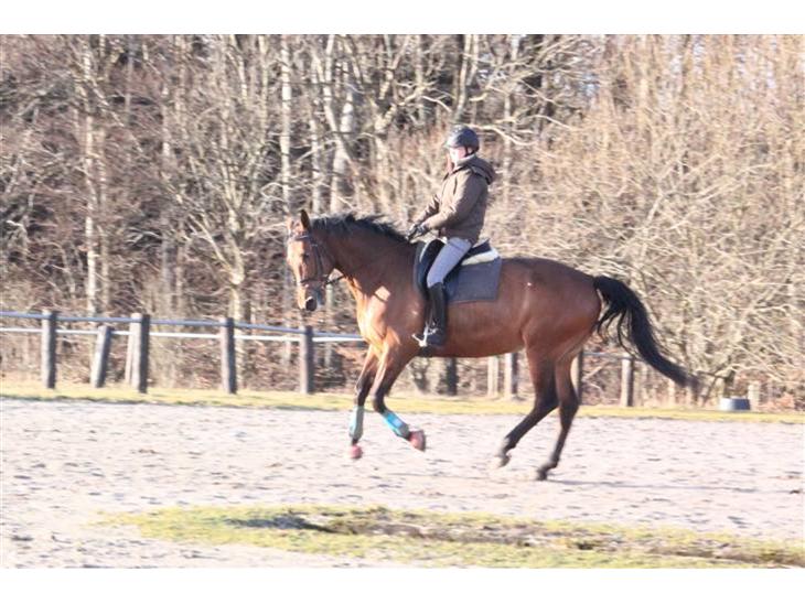 {{currentPhoto.altText}} billede {{currentPhoto.number}}