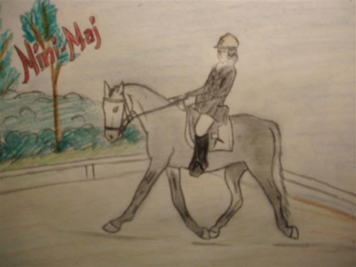 © Mine tegninger :) - Mit forsøg på at tegne Pernille og Målunds Mini-Maj. Jeg er overhovedet ikke tilfreds med resultatet, men jeg har kæmpet og kæmpet i flere timer - over tre gange. Dette er tredje forsøg, og mere bliver der ikke gjort. Bliver helt irriteret, fordi jeg er utålmodig :)
Håber du kan lide den alligevel, Pernille, det blev desværre ikke som jeg ville ha' det. /:

Bagparten er for lille, hovedet for stort og generelt blev det altså ikke som jeg ville :/
Link: http://hestegalleri.dk/html/gal_visbil.asp?ID=124556 billede 85